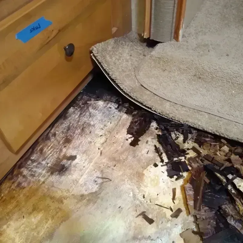 Wood Floor Water Damage in Desoto Lakes, FL